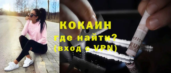 метадон Алексин