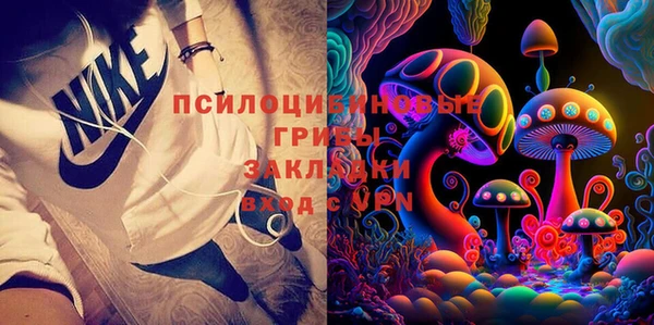 метадон Алексин