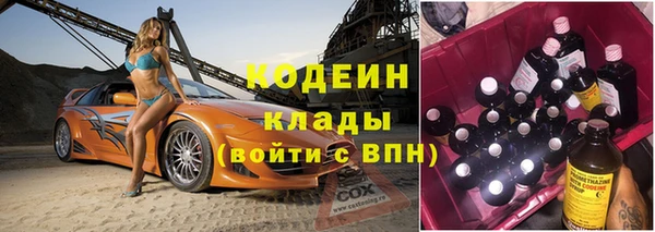 гашик Алзамай