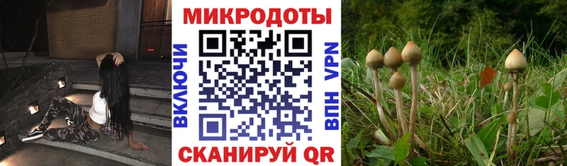 МЕГА онион наркотики Пермь Галлюциногенные грибы ЛСД
